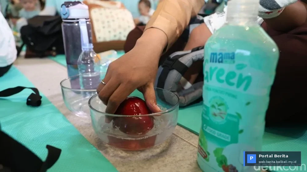 Melampaui Bilas Saja: Panduan Lengkap Anti-Kontaminasi Buah dan Sayur di Tahun 2026