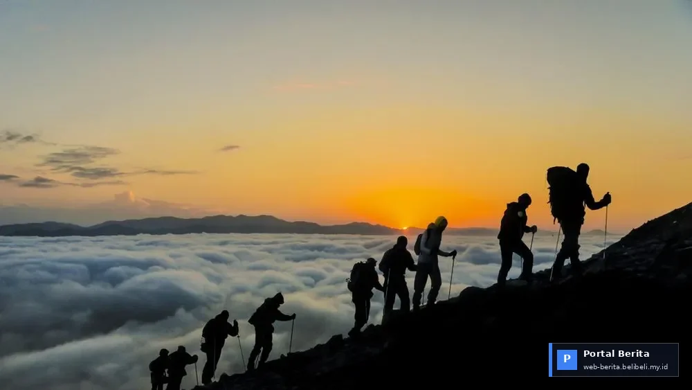 Kakek Kokichi Akuzawa, 102 Tahun, Kembali Taklukkan Gunung Fuji: Inspirasi Kesehatan Abadi di Tahun 2026