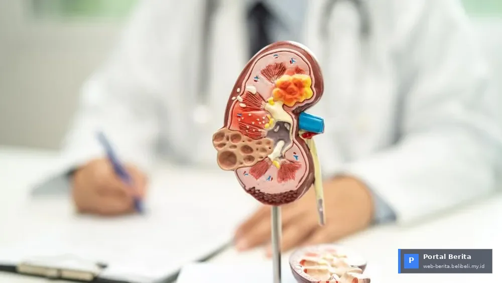 Ginjal Sehat 2026: Waspadai 7 Kebiasaan Harian yang Diam-diam Merusak Organ Vital Anda