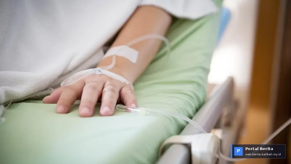 Fenomena Jantung & Stroke di Balik Tubuh Bugar 2026: Mengapa Penampilan Menipu dan Apa yang Bisa Anda Lakukan?