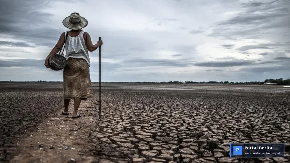 Ekonomi Afrika di Ambang Krisis: Bayangan Super El Niño Masih Menyelimuti Prospek 2026