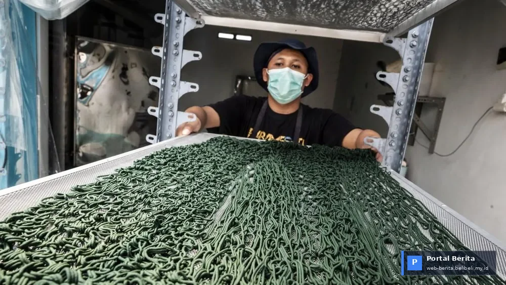 Spirulina Semarang 2026: Dari Tambak Lokal Menuju Puncak Pasar Suplemen dan Kosmetik Global