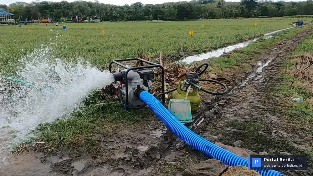Strengthening Food Security 2026: Ministry of Agriculture Deploys 56,000 Water Pumps Amid Global Drought Threats