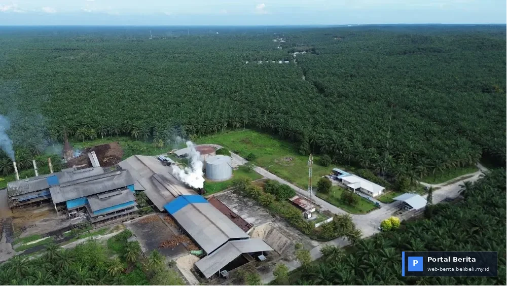 Agrinas Palma Nusantara Umumkan Surplus Operasional Rp 2,86 Triliun untuk Tahun Buku 2025: Pondasi Kuat Menuju Pertumbuhan 2026